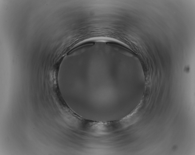 X0000091080182200708061344