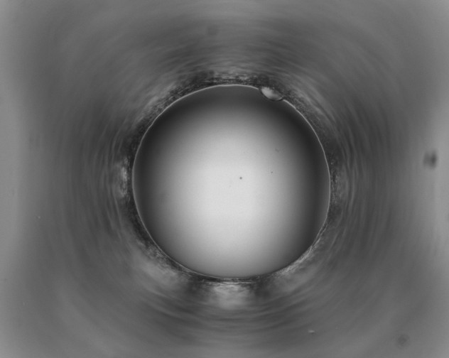 X0000091080183200708061344