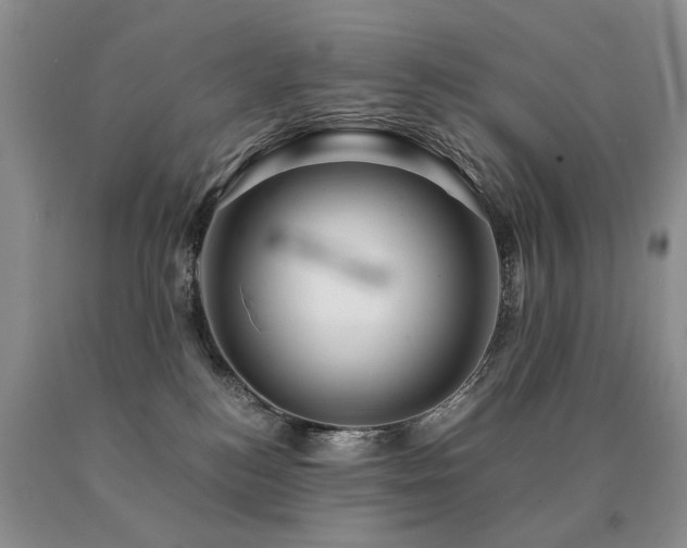 X0000091080184200708061344