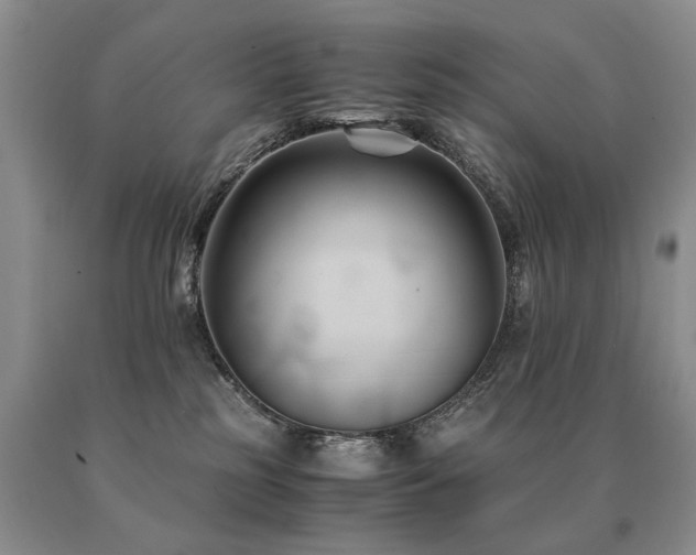 X0000091080185200708061344