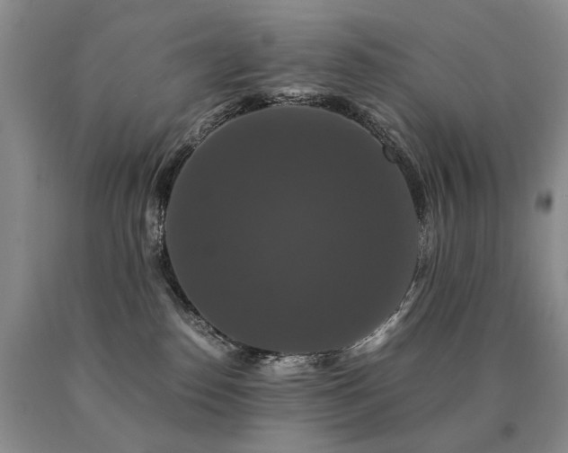 X0000091080186200708061344