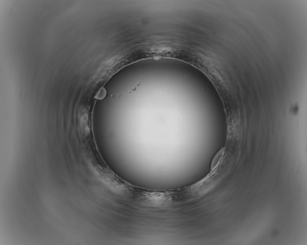 X0000091080187200708061344