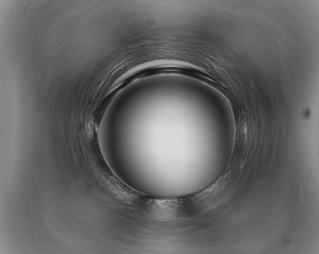 X0000091080188200708061344