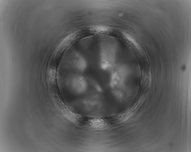 X0000091080189200708061344