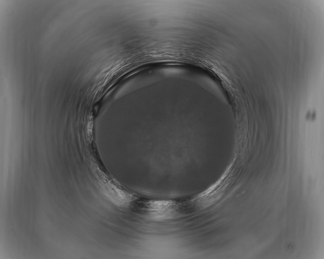 X0000091080192200708061344