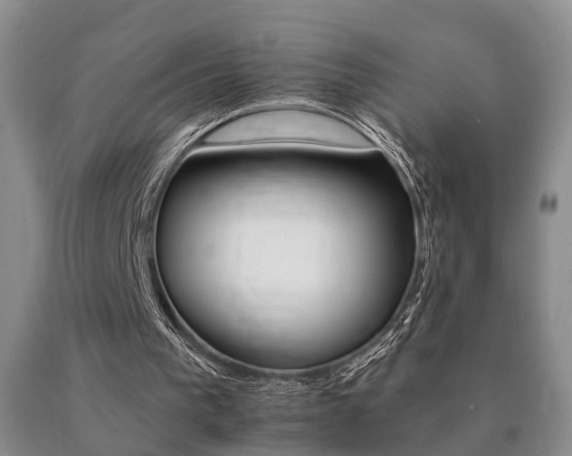 X0000091080193200708061344