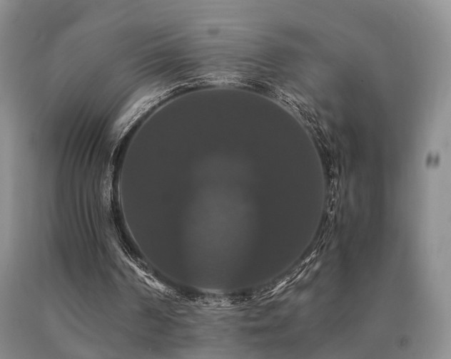 X0000091080194200708061344