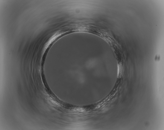 X0000091080195200708061344