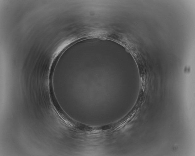 X0000091080196200708061344