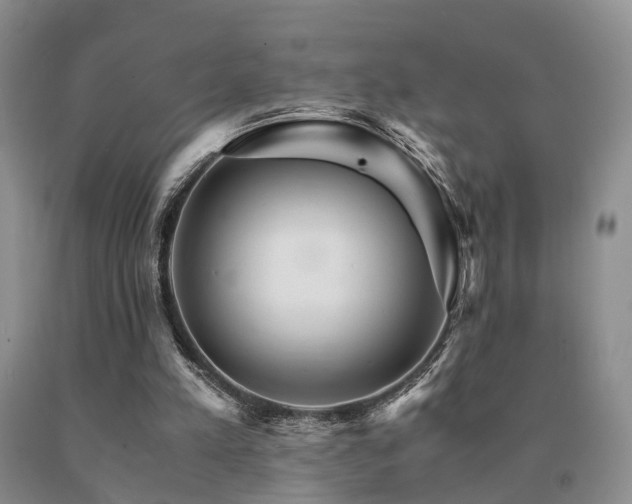 X0000091080197200708061344