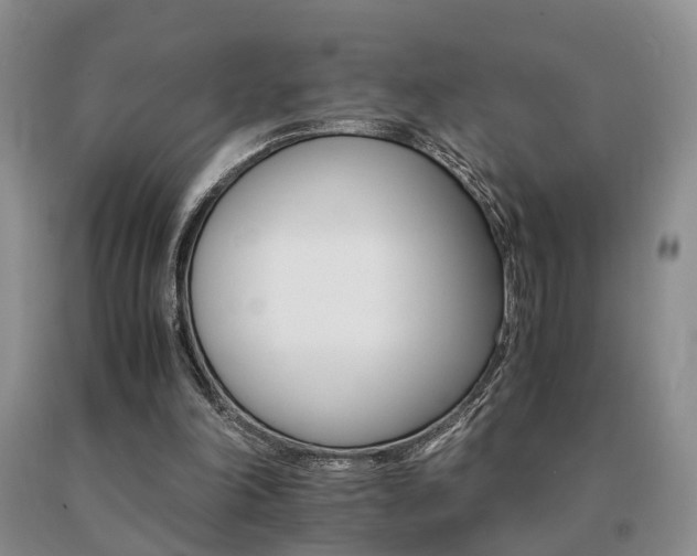 X0000091080198200708061344