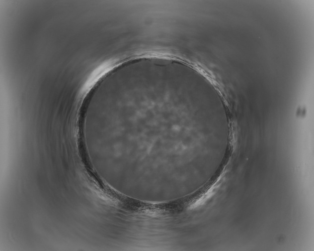 X0000091080199200708061344