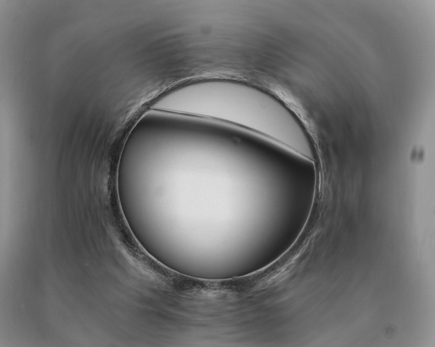 X0000091080201200708061344