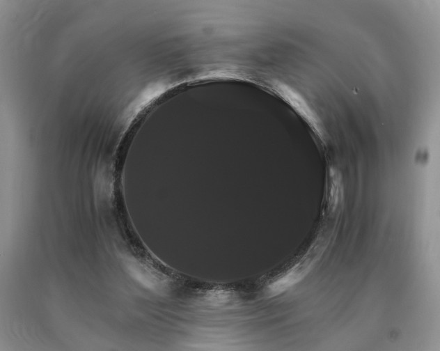 X0000091080204200708061343