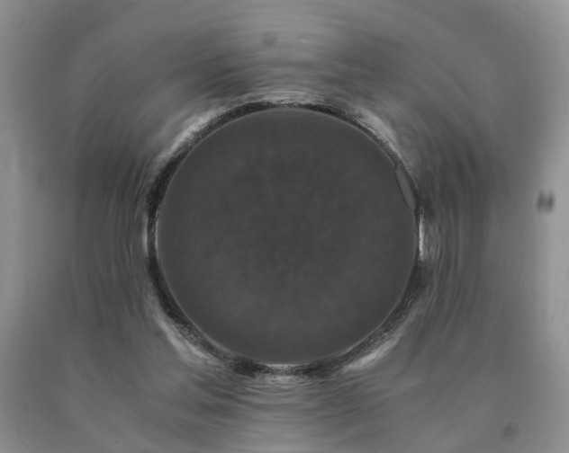 X0000091080205200708061343