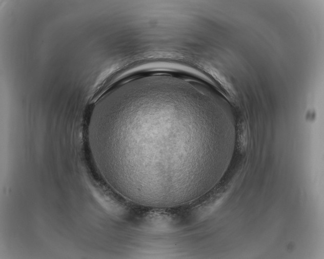 X0000091080207200708061343