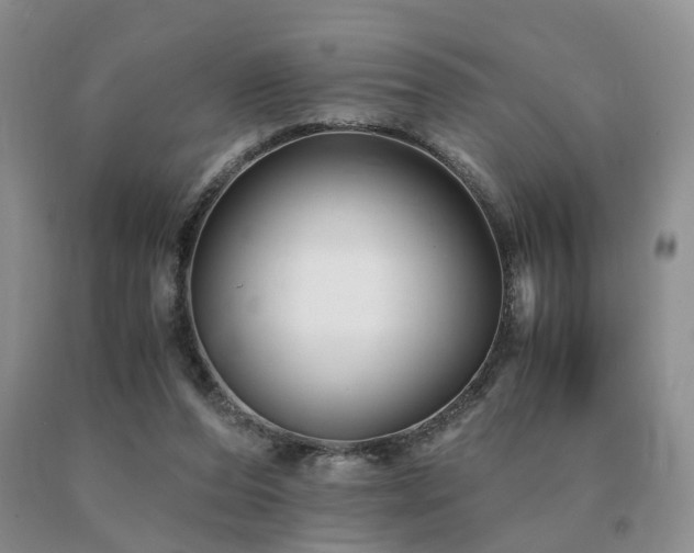 X0000091080208200708061343