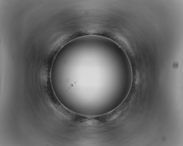 X0000091080210200708061343