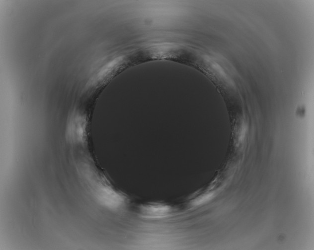 X0000091080219200708061343