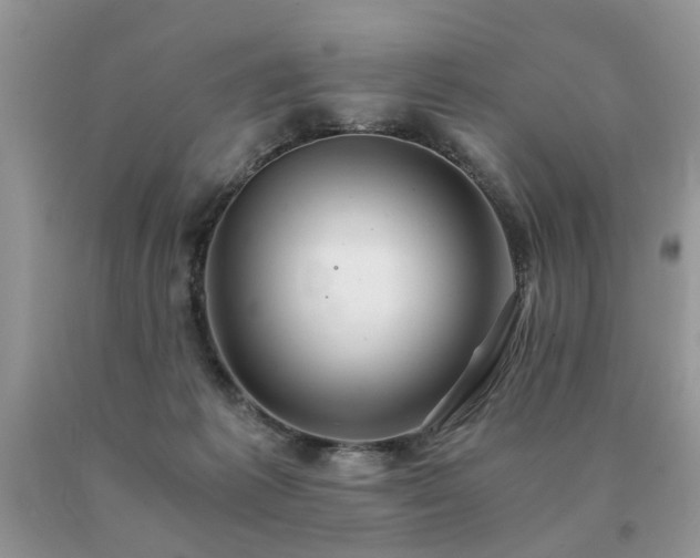 X0000091080221200708061343