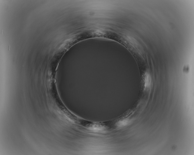 X0000091080223200708061343