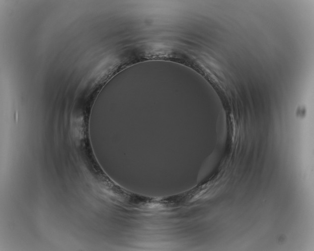 X0000091080224200708061343