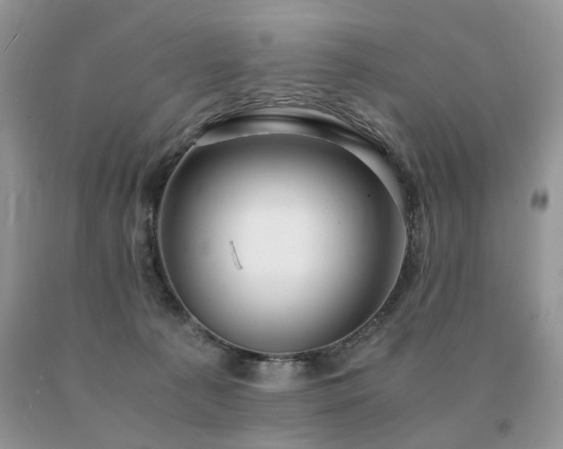 X0000091080225200708061343