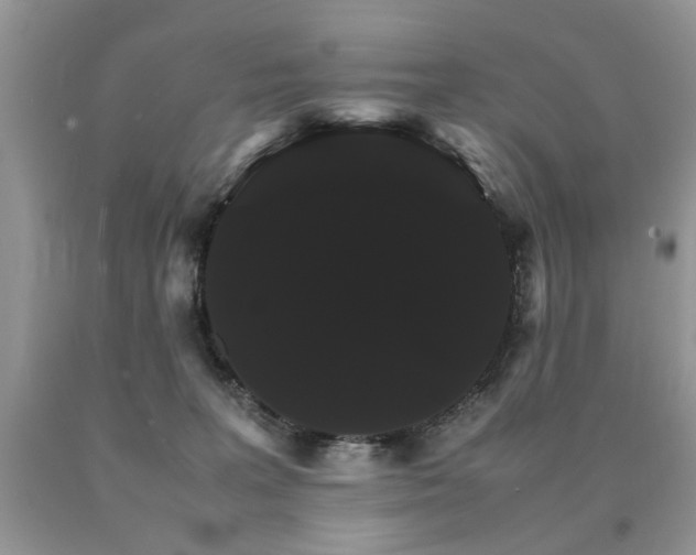 X0000091080227200708061343