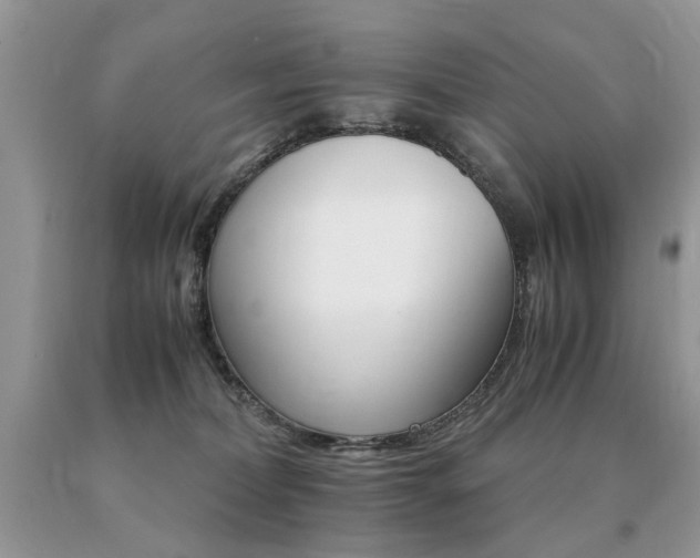 X0000091080228200708061343