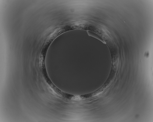 X0000091080231200708061343