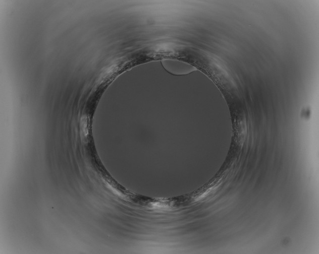 X0000091080232200708061343