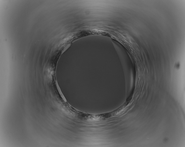 X0000091080235200708061343