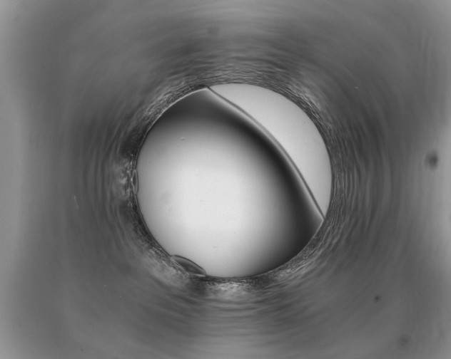 X0000091080237200708061343