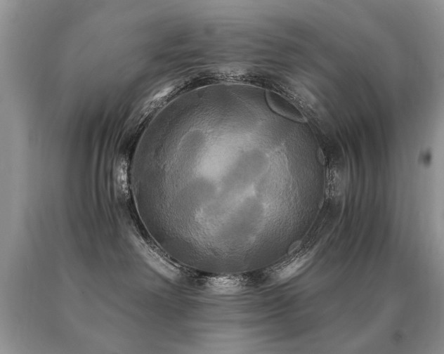 X0000091080238200708061343