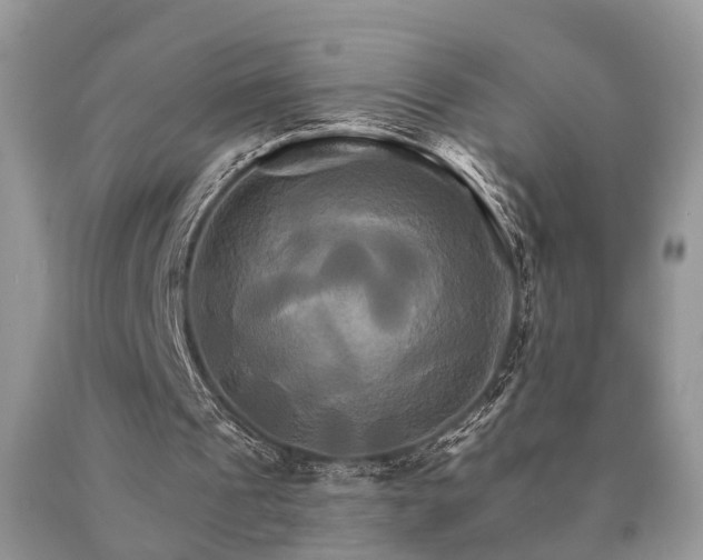 X0000091080241200708061342