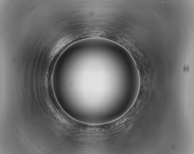 X0000091080242200708061342