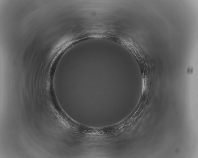 X0000091080243200708061342