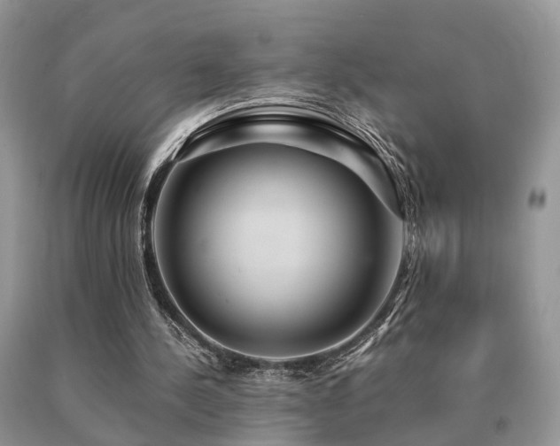 X0000091080244200708061342