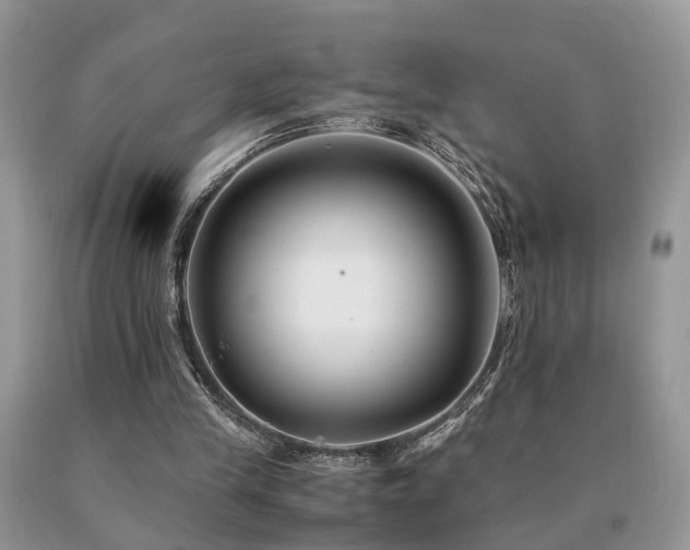 X0000091080245200708061342