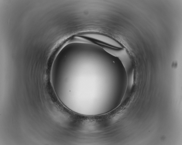 X0000091080252200708061343