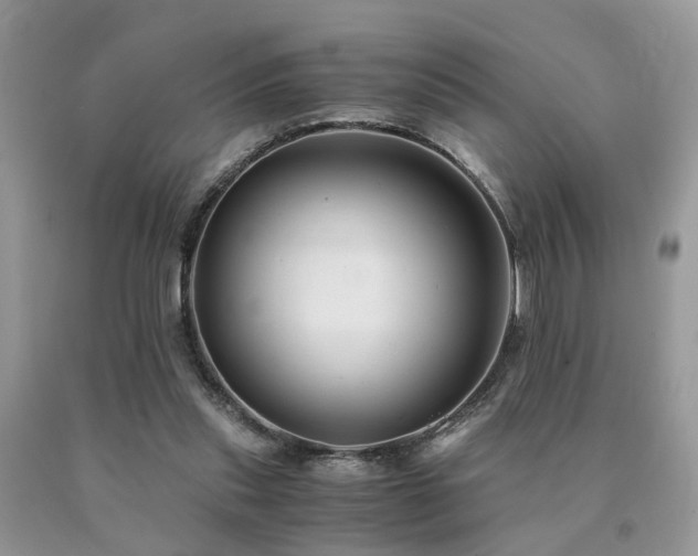 X0000091080253200708061343