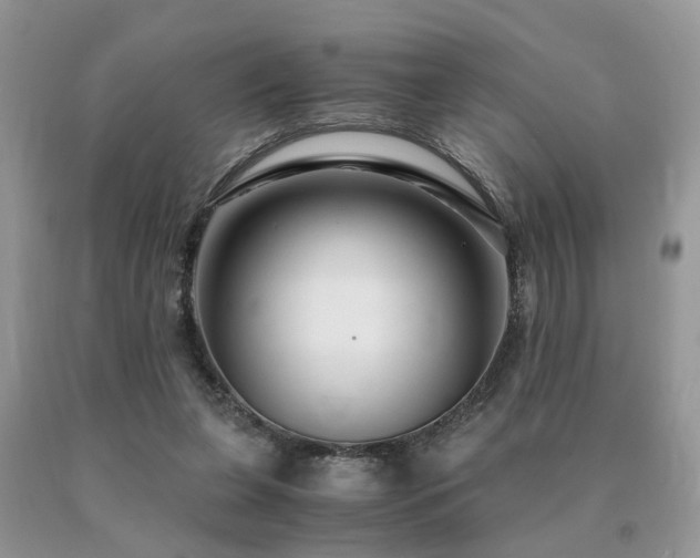 X0000091080255200708061343