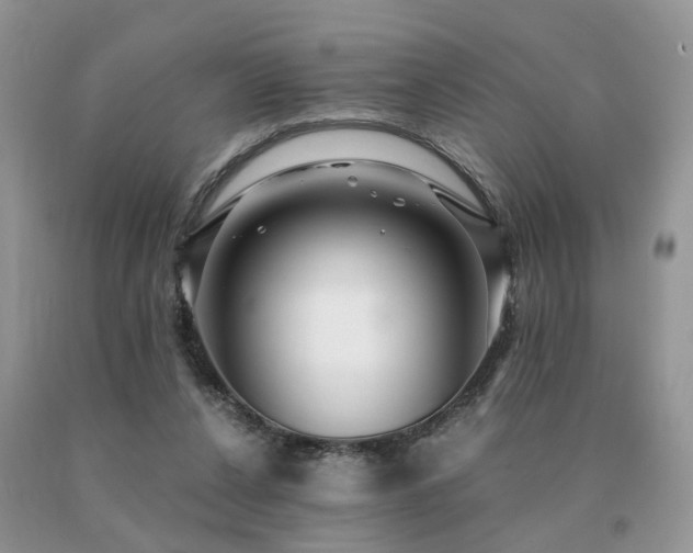 X0000091080256200708061343