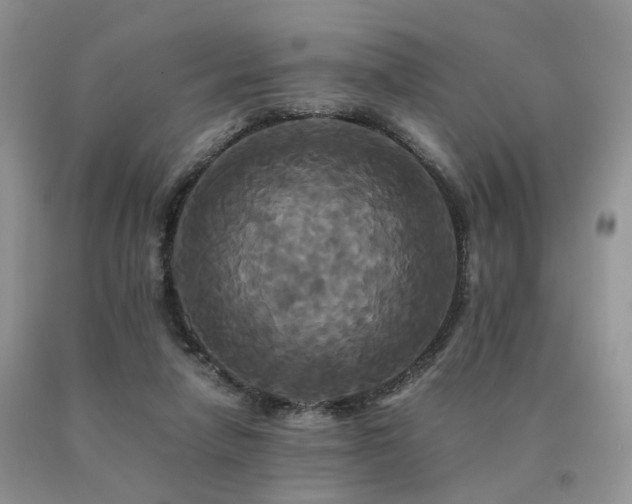 X0000091080258200708061343