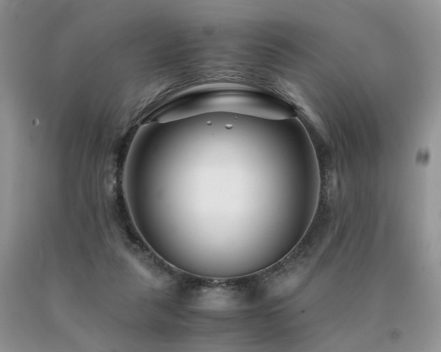 X0000091080259200708061343