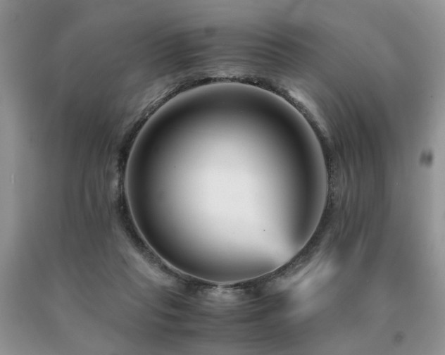 X0000091080261200708061343