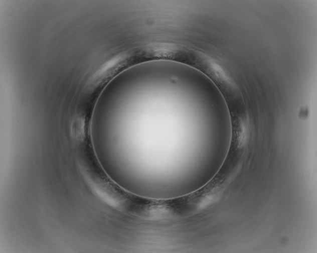 X0000091080262200708061343