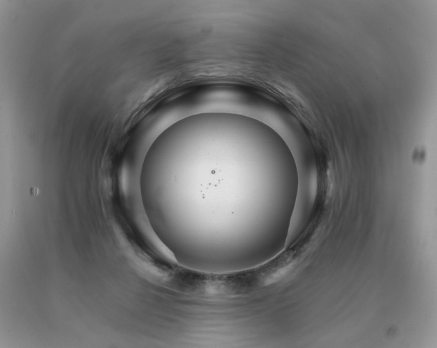 X0000091080264200708061343