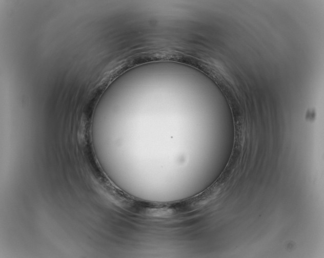 X0000091080266200708061343