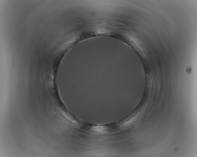 X0000091080269200708061343